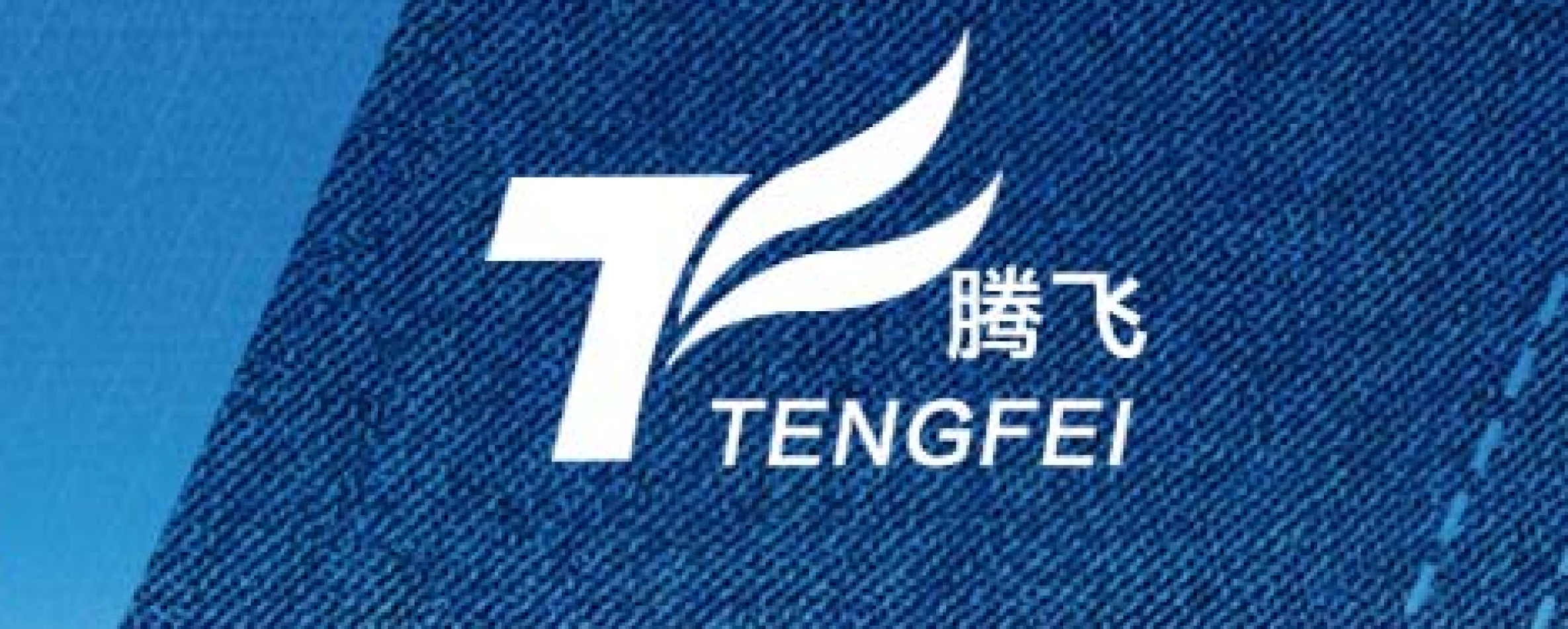 Jiangsu Tengfei Textile Co., Ltd.
