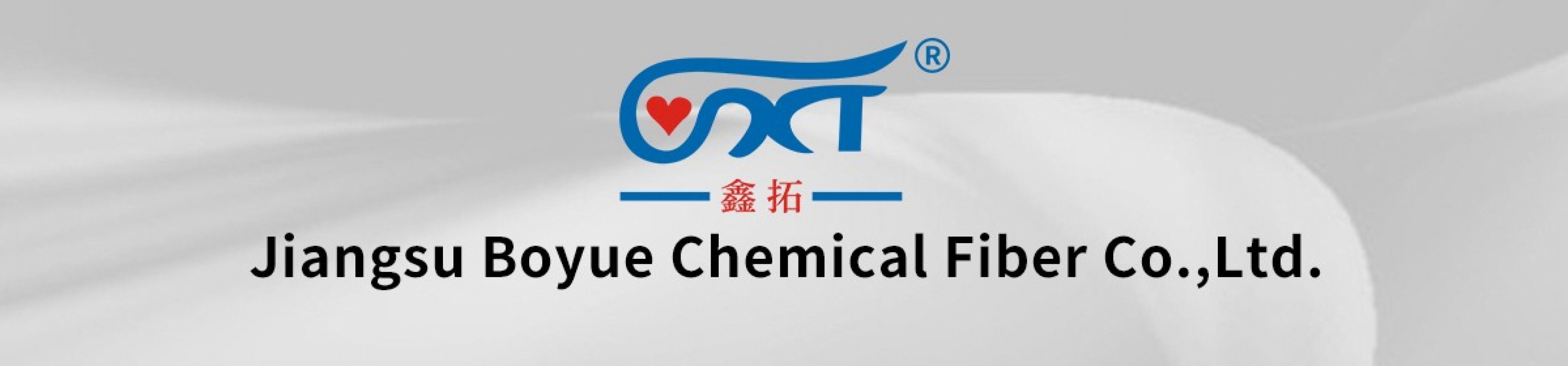 Jiangsu Boyue Chemical Fiber Co.,Ltd